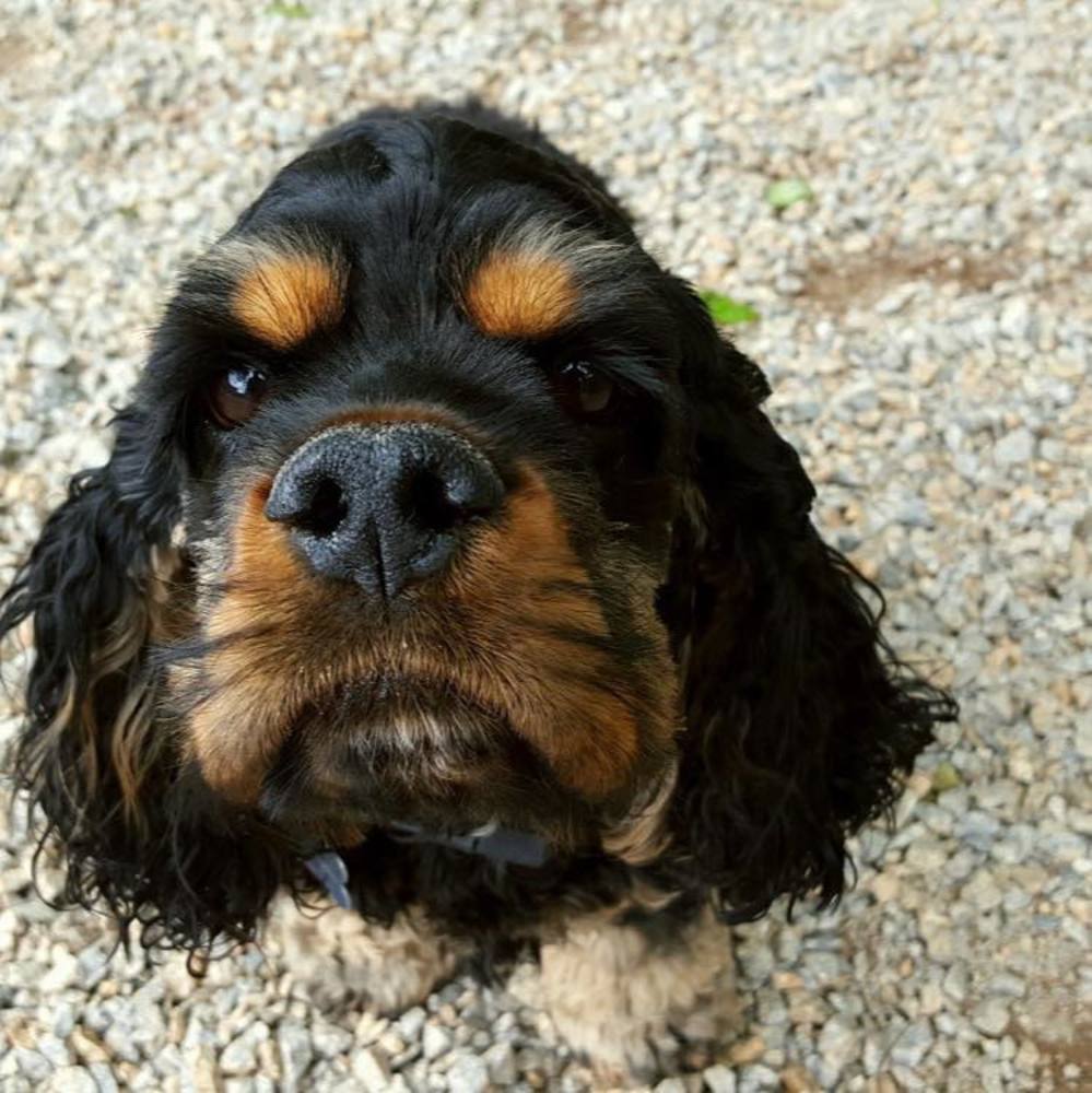 Meet your Posher, Sandra